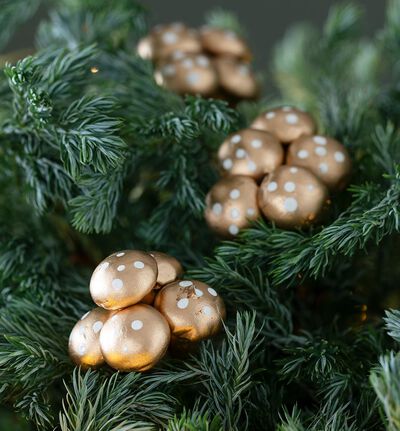 Sopp gull matt i pose Sopp gull matt i pose